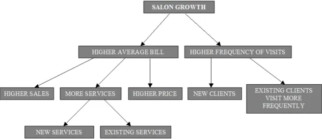 Figure 1-Salon Growth Diagram| Source: Internal material of L’Oréal Portugal 