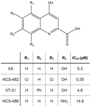 Figure 8. Pharmacological characteristics of XA responses recorded in the cell-attached mode from differentiated NCB-20 cells