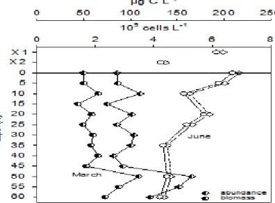 Figure 2. Vertical distribution of the total bacterial abundance (*10 9  cells L -1 )  and biomass (µg C L -1 ) in Lake Sevan waters 