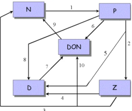 Fig. 1. Dissolved inorganic nitrogen (N), phytoplankton (P), zoo- zoo-plankton (Z), particulate organic matter (D), and dissolved organic nitrogen (DON) model (Huret et al., 2005)