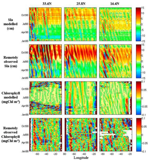 Fig. 2. Examples of longitude-time plots of simulated and remotely observed Sea Level Anomalies and surface chlorophyll concentrations for the 33.6 ◦ N, 25.8 ◦ N, and 16.4 ◦ N latitudes after filtering with spatial 1-D wavelet analysis.