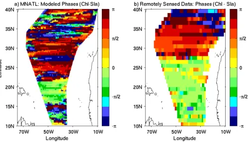 Fig. 3. Spatial phase relationships for the year 1998 between chlorophyll concentrations and SLA, averaged in time, obtained from a cross wavelet analysis for: the coupled model (a) and remotely sensed data (b).