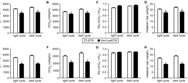 Figure 4. Ablation of Sim1 neurons reduces activity. Total and ambulatory activity of iDTR mice (gray line) and Sim1creiDTR mice (black line) was measured using metabolic cages at wk6 (A, D) and wk 12 (B, E)