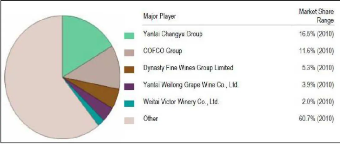 Figure 6 - Major Players ( IBIS World, 2010) 