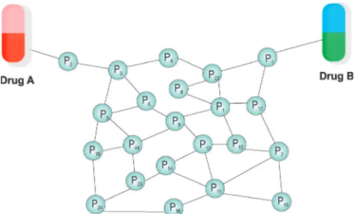 Fig. 4. Prediction of drug-drug interactions through network of  protein-protein interactions.
