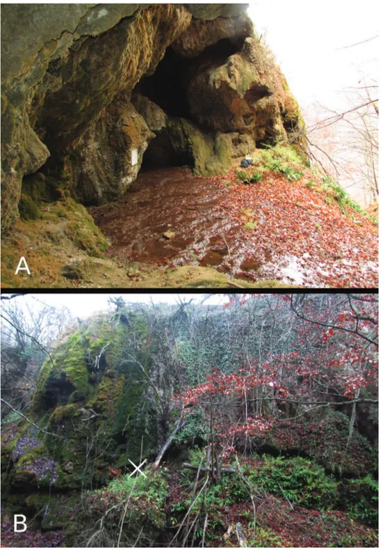 Figure 1. he type locality of Vitrea ulrichi sp. n.: the cave entrance (above) and the site of collection  near the cave (below).