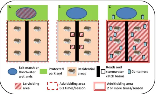 Figure 3. Schematic representation of mosquito habitat and control paradigm. (A) Salt marsh and floodwater Aedes spp