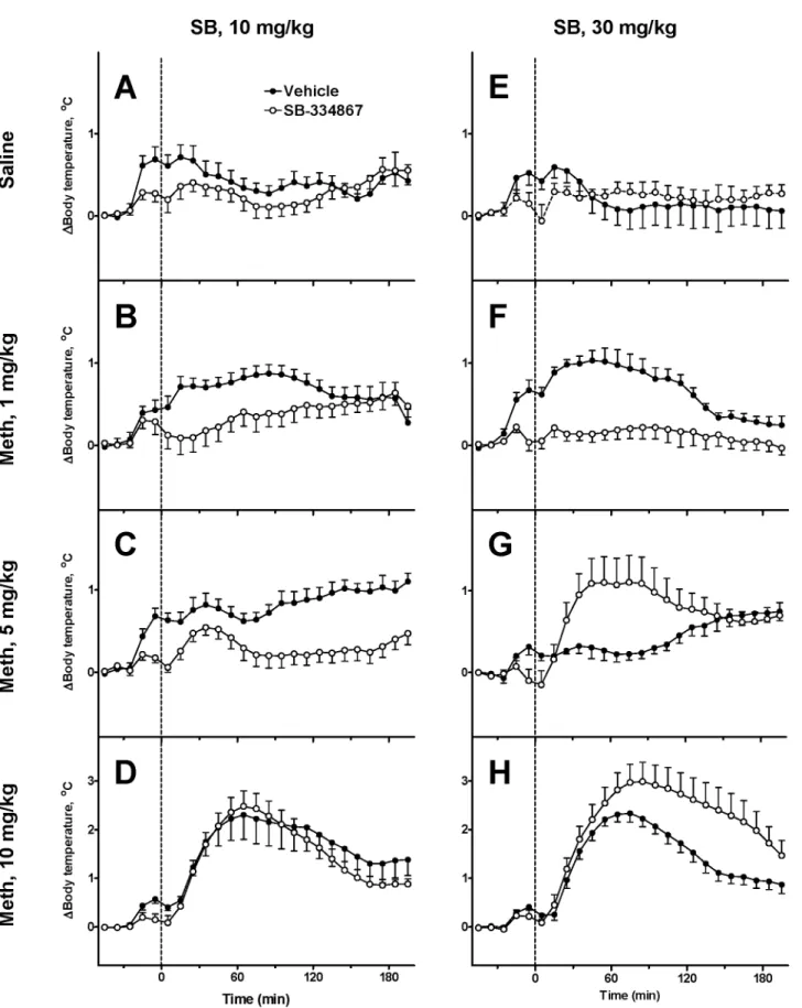 Fig 3. Changes in the body temperature evoked by methamphetamine after two doses of SB-334867