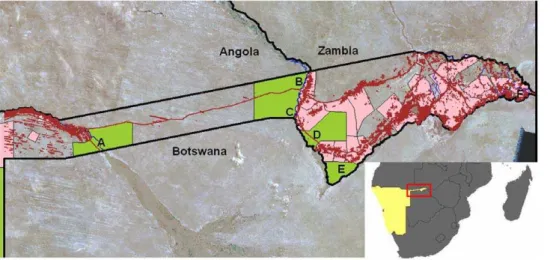Figure 1. The study area and buffalo GPS locations. The study area was the Caprivi Strip of Namibia, with GPS locations of n = 31 collared animals (different colours indicate different individuals)