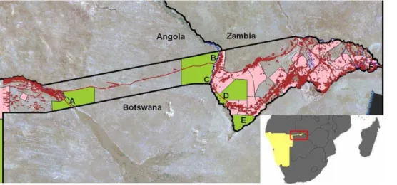 Figure 1. The study area and buffalo GPS locations. The study area was the Caprivi Strip of Namibia, with GPS locations of n = 31 collared animals (different colours indicate different individuals)