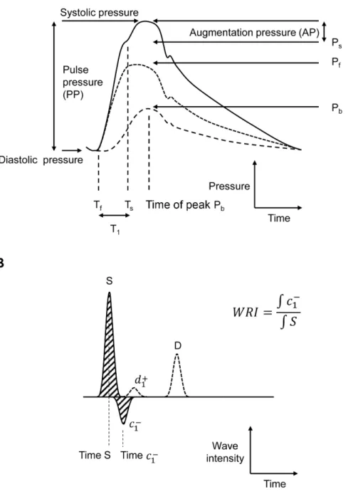 Figure 1. Examples illustrating definitions of measured parameters and indices. A) pressure waveform (blue) modified from [31] and indicating measured parameters and showing separated forward (black) and backward (red) components