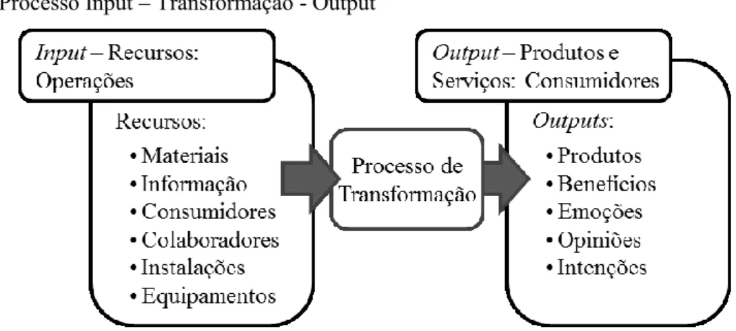 Figura 1- Processo Input – Transformação - Output 
