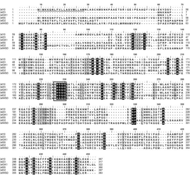 Fig 1. Sequence alignment of Est10 with its major closest homologs. The amino acid sequences correspond to Est10 (GI accession number