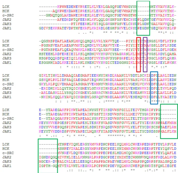 Figure 4. Sequence alignment of LCK, HCK, c-SRC, JAK1, JAK2 and JAK3 kinase domains. The conserved DFG motif is highlighted in blue box; the gatekeeper residue is highlighted in red box; residue corresponding to Met341 in c-Src is highlighted in purple box