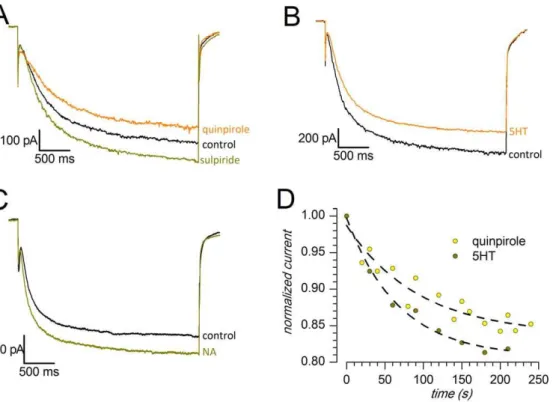 Figure 8. Sample tracings showing the effect of different neurotransmitters on the h-current; responses to hyperpolarizations to 2 130 mV from a holding potential of 2 40 mV; perforated patches, 37 6 C