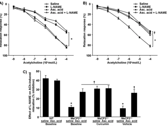 Figure 2. Endothelial relaxation in curcumin or vehicle-treated mice. Relaxations to acetylcholine without (saline) or with L-NAME, ascorbic acid (Asc