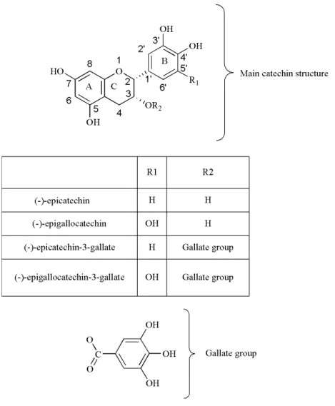 Figure 3 - Chemical structures of the main tea catechins. The figure illustrates two aromatic rings  (A,  B)  and  a  dihydropyran  heterocyclic  ring  (C),  which  is  the  basic  structure  of  flavonoids