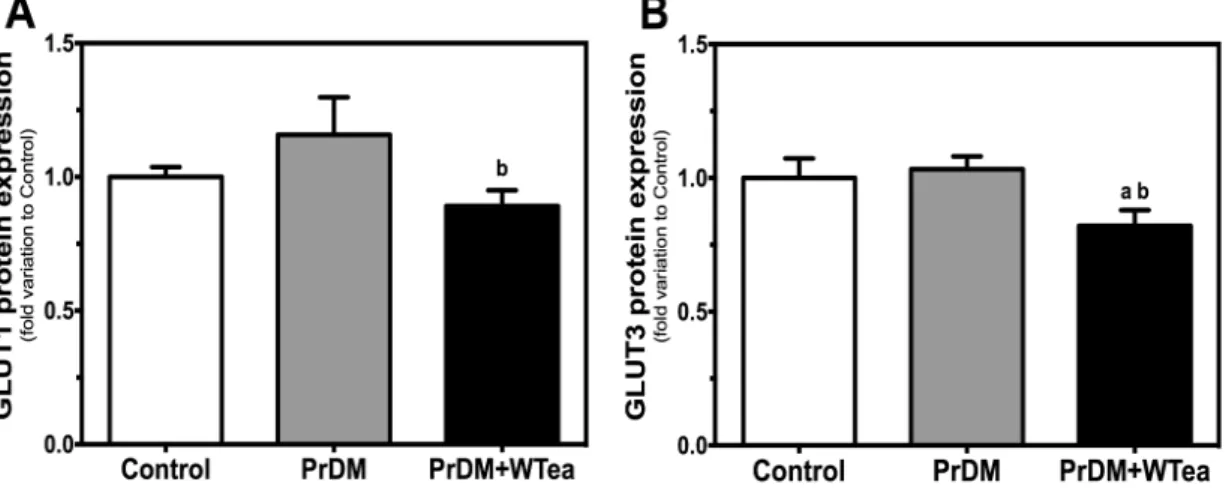 Figure  4  -  Effect  of  daily  white  tea  consumption  in  protein  expression  of  glucose  transporters  (GLUTs)  in  the  cerebral  cortex  of  prediabetic  rats