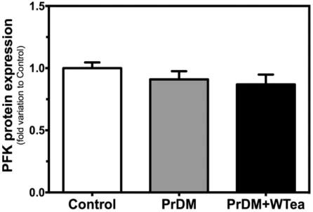 Figure 5 - Effect of daily white tea consumption in protein expression of phosphofructokinase-1  (PFK-1)  in  the  cerebral  cortex  of  prediabetic  rats