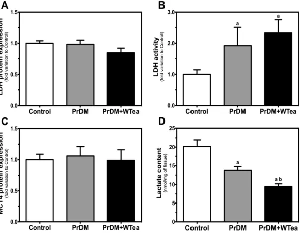 Figure  6  -  Effect  of  daily  white  tea  consumption  in  lactate  dehydrogenase  (LDH)  and  monocarboxylate  transporter  4  (MCT4)  protein  expression,  LDH  activity  and  lactate  content  in  cerebral  cortex  of  prediabetic  rats