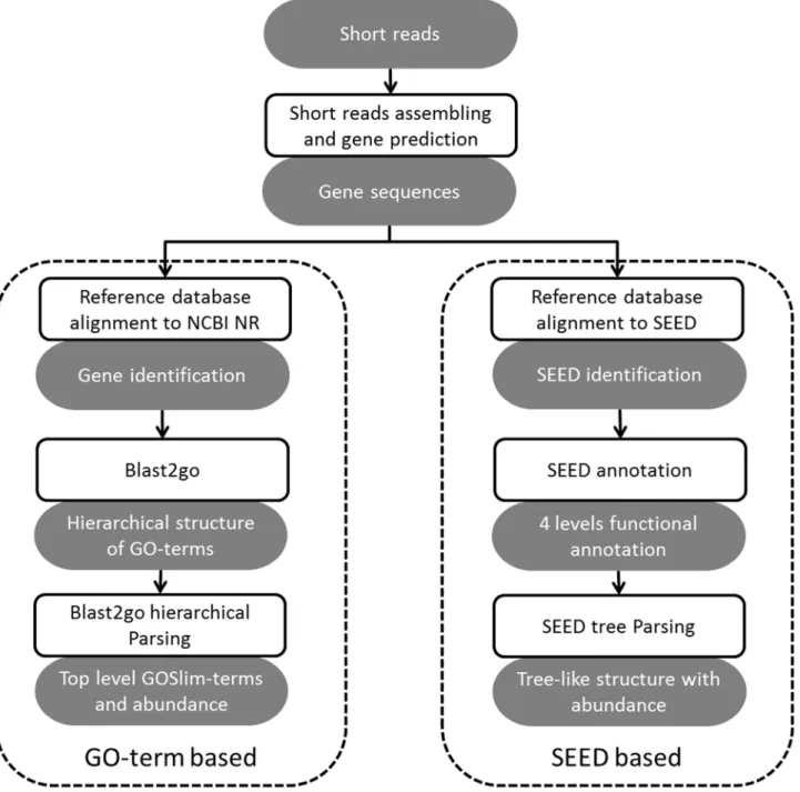 Figure 2. The dual computational engines for functional analysis in Parallel-META 2.0.