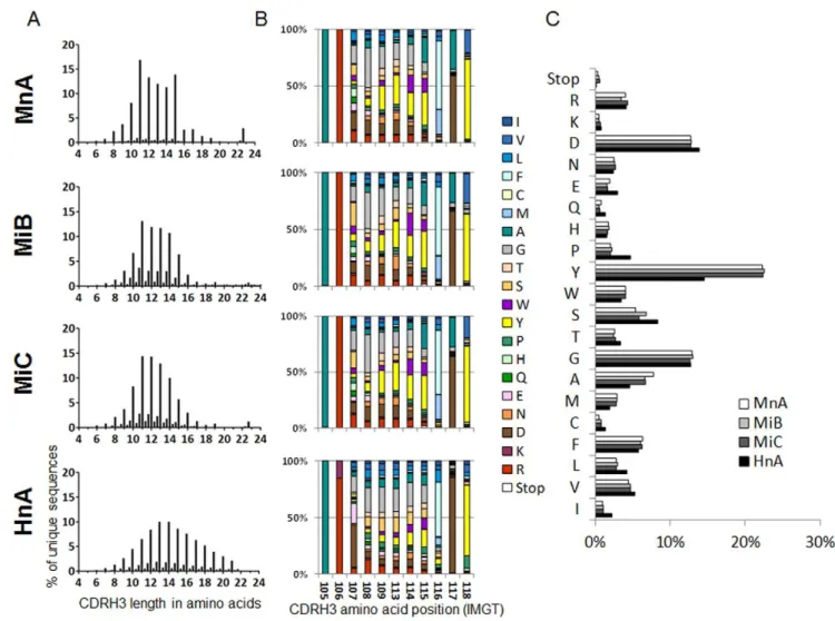 Figure 2. Characterization by NGS of captured murine and human CDRH3 repertoires. (A) Length profile of CDRH3 represented as the percentage of unique CDRH3 in function of their length in amino acids (AA)