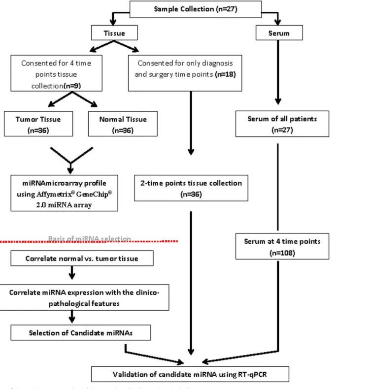 Fig 1. Schematic representation of the sample collection and study design.