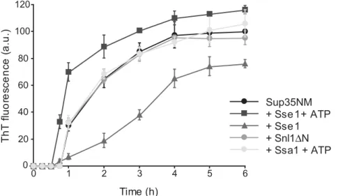 Figure 5. [ PSI + ] formation in [ pin 2 ] cells. (A) [psi 2 pin 2 ] cells were transformed with pLA1-SUP35 and p316-GAL-SSA1, p316-GAL-SSB1 or p315- p315-SSE1