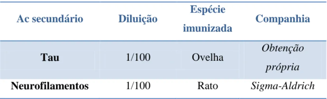 Tabela 3: Anticorpos primários usados para imunofluorescência. 