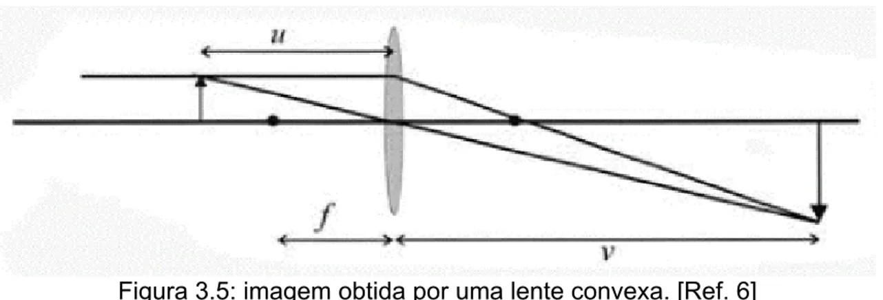 Figura 3.5: imagem obtida por uma lente convexa. [Ref. 6] 