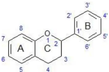 Figure 4 - General flavonoid structure. With two phenyl rings (A, B) and a heterocyclic ring (C) [139]
