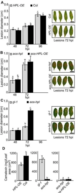 Figure 4. Function of JAs and C 6 -aldehydes in plant protection against necrotrophic fungus, Botrytis cinerea