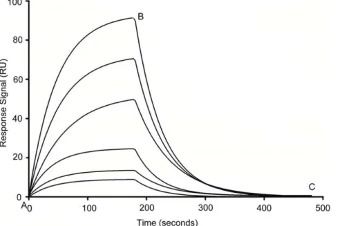 Figure 2. Schematic representation of the secondary structure of original VEa5 aptamer as predicted by the mfold program.