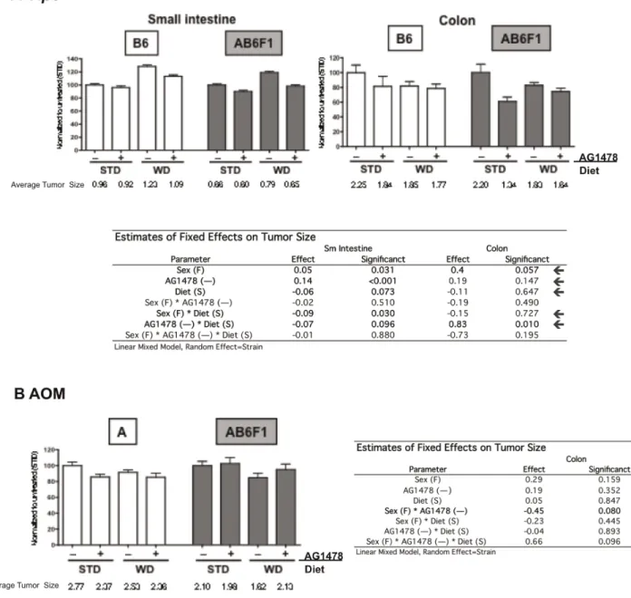 Figure 3. Effect of diet, sex and strain on AG1478-mediated tumor size(mm) reduction. A) Apc Min/+ small intestinal and colonic tumor size as a percentage of STD without AG1478 treatment for the B6 inbred and AB6F1 (shaded) strains; and B) AOM (A and AB6F1