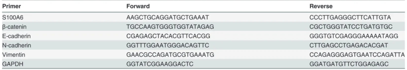 Table 1. Sequences of Primers for Real-time PCR.