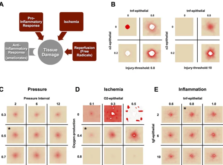 Fig 5. Sensitivity analysis reveals a unique contribution for all damage mechanisms, but simulated tissue is most sensitive to oxygen