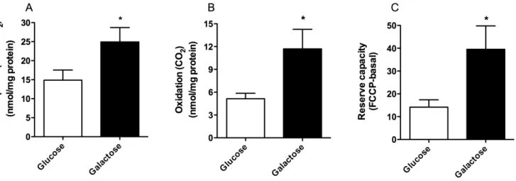 Figure 3. Effect of galactose treatment on glucose metabolism. Myotubes were grown in DMEM-media with 5.5 mM glucose or 5.5 mM galactose