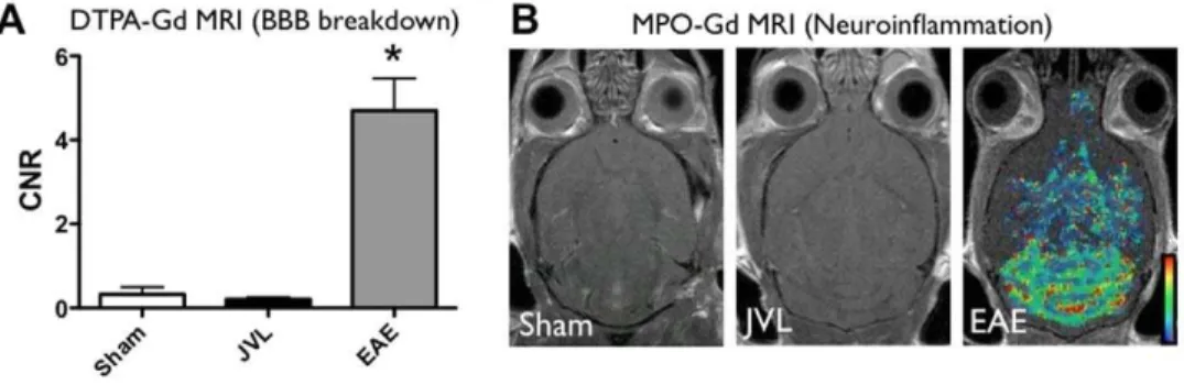 Figure 3. FMT-CT imaging of MMP and protease activity. (A) Representative images from sham and JVL mice show no visible signal from FMT imaging