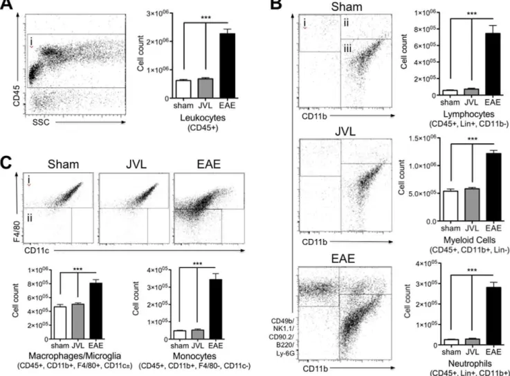 Figure 4. Flow cytometric analysis of brain inflammatory cells. (A) Cells were pre-gated for positive CD45 expression to identify all leukocytes, and (B) then divided into lymphocytes, neutrophils, and myeloid cells