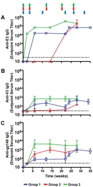Figure 2. Binding antibody responses in rabbits immunized with Env-E2 particles and DNA following different immunization regimes