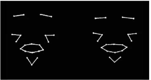 Figure 1. A static image of the side-by-side the point-line talking faces presented to the infants.