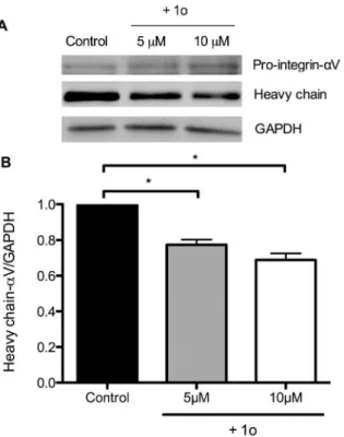 Figure 7. Comparison of compound 1o and C-30k-PEG Poly R in the inhibition of (A) decidualisation of primary HESCs, and (B) Ishikawa cell receptivity to trophoblast spheroid  attach-ment