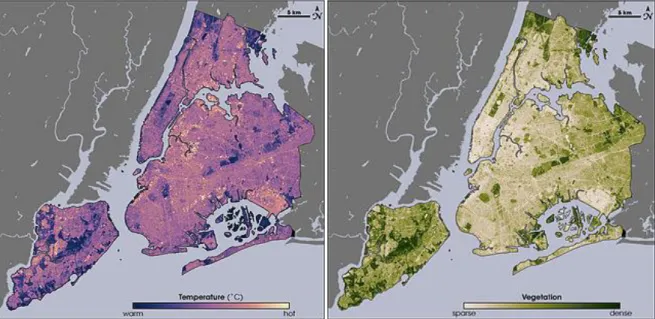 Figura 10 – Relação entre a abundância vegetativa e a temperatura associada a cada local, na cidade de Nova York