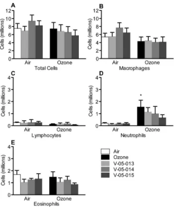 Figure 7. Neither ozone nor the dual p38/JNK MAPK inhibitors affected inflammatory cell numbers in peripheral blood