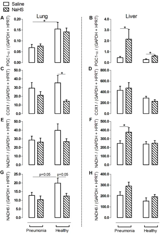 Figure 4. NaHS increased protein level of a -tubulin and protein kinase C (PKC)- e as regulators of voltage dependent anion channel (VDAC) in pneumosepsis