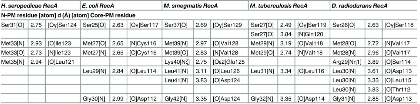 Table 2. Summary of hydrogen bonds formed between the N-PM and the Core-PM in RecA protein structures