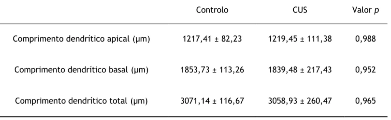 Tabela 1- Efeitos do stresse crónico sobre o comprimento dendrítico dos neurónios piramidais da  BLA