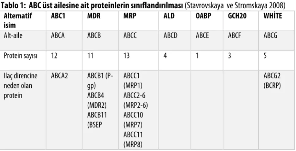Tablo 1:  ABC üst ailesine ait proteinlerin sınıflandırılması (Stavrovskaya  ve Stromskaya 2008)   Alternatif 