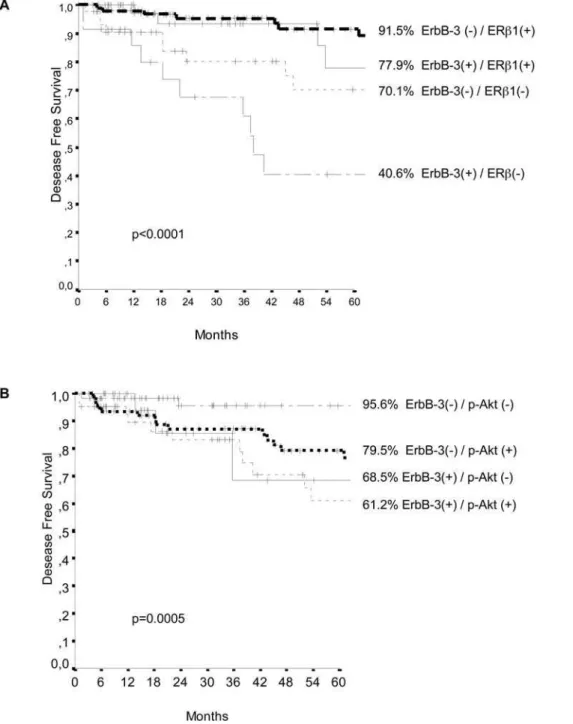 Figure 6. DFS (232 cases) for TAM treated patients with breast carcinomas categorised according to the combinations in all evaluated cases of (A) ErbB-3 and ERb1 expression, (B) ErbB-3 and P-Akt expression