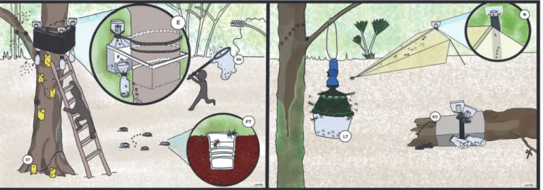 Fig 2. Graphic representation of the used traps. ST Sticky trap, EO Eclector trap open, E Eclector trap, M Malaise trap, PT Pitfall trap, LT Light trap, SN Sweep netting.